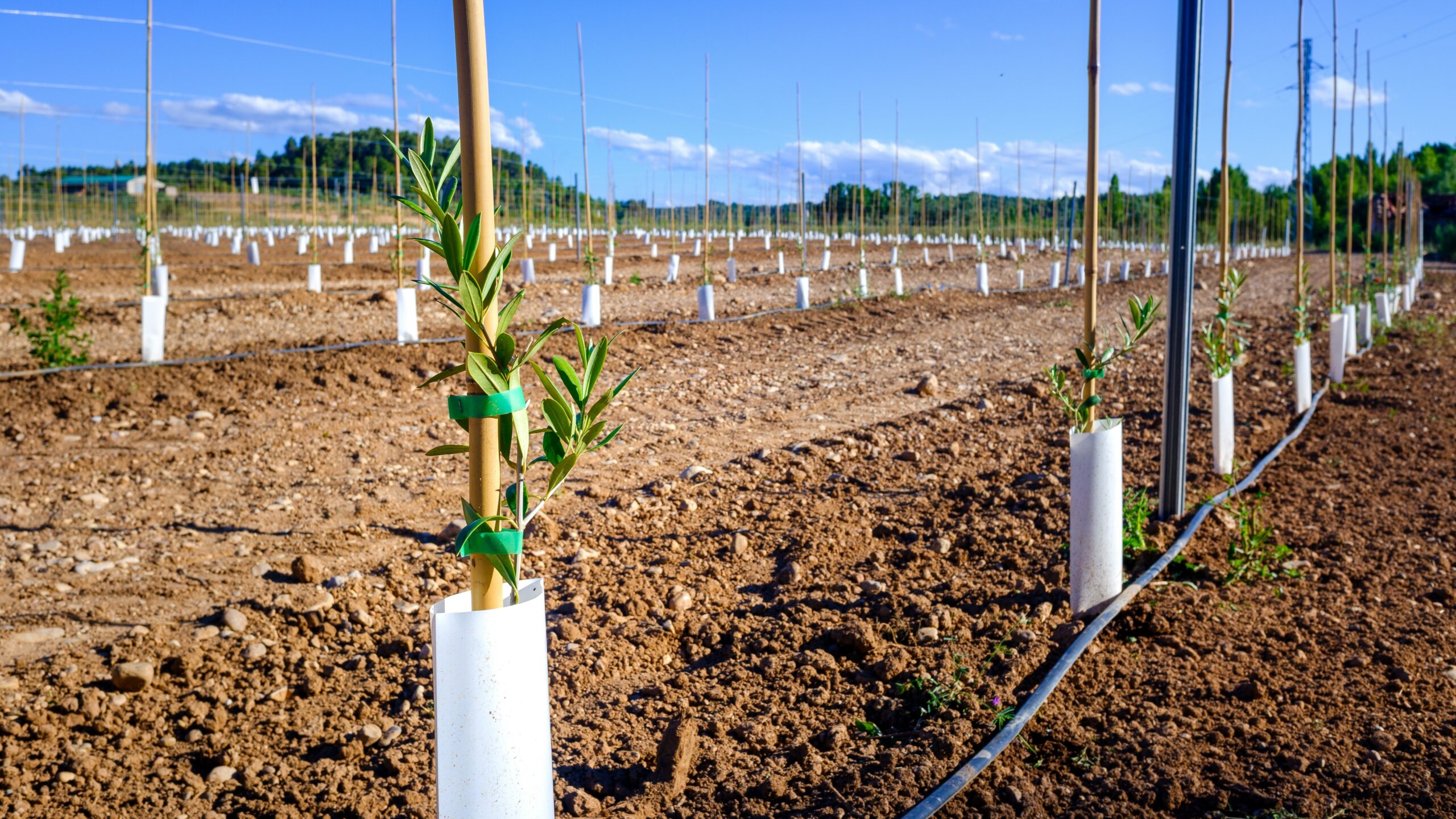 Water In Agriculture Why Should We Care 